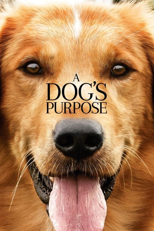 A Dog’s Purpose 2017