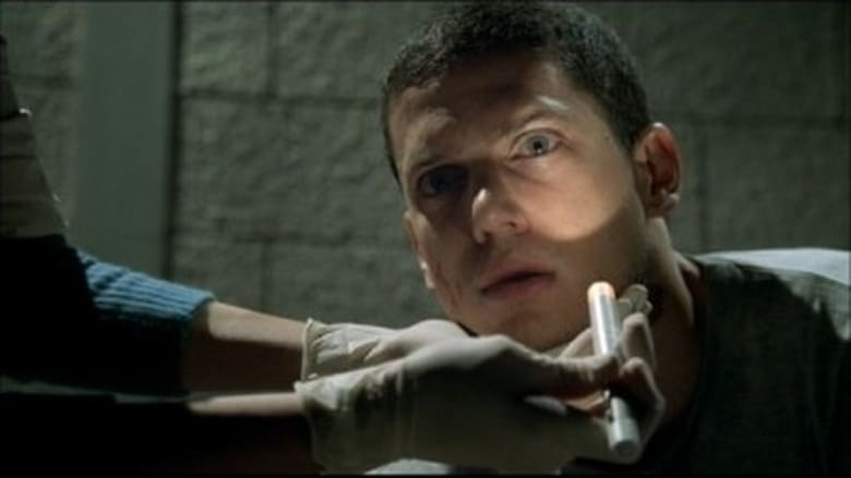 prison break season 1 episode 22 watch online free