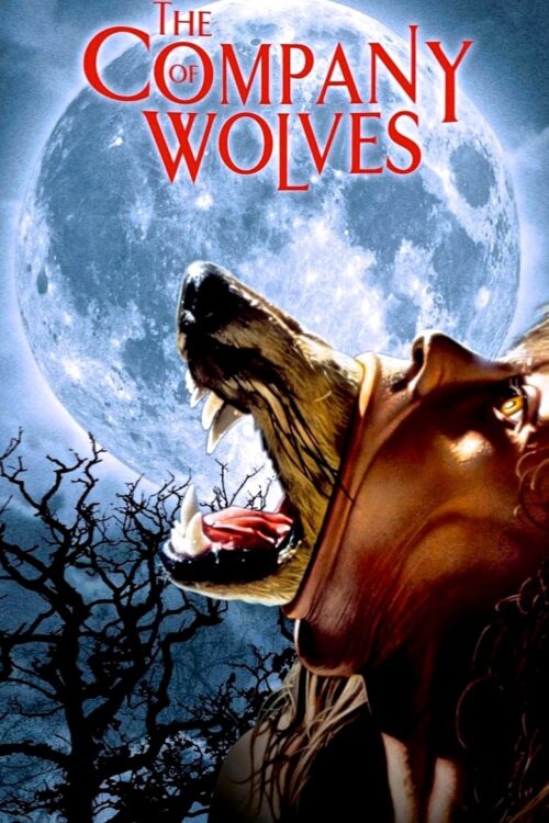 The Company of Wolves 1984