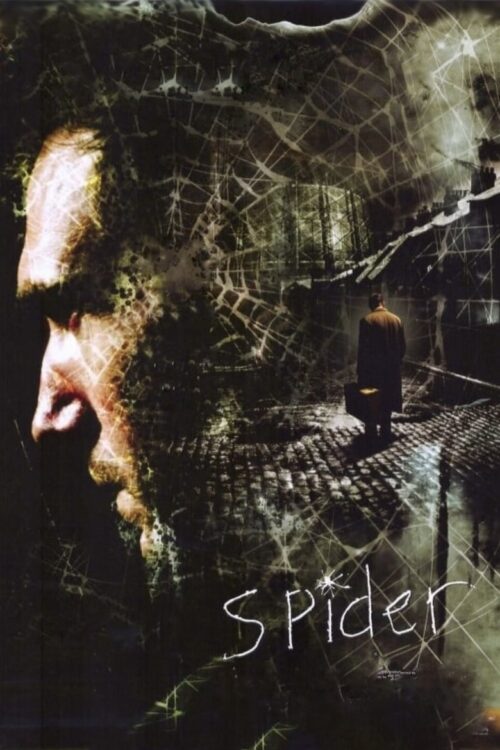 Spider 2002