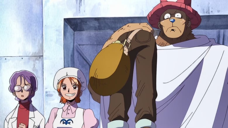One Piece: Season 7 – Episode 202