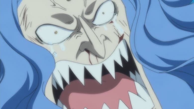 One Piece: Season 14 – Episode 564