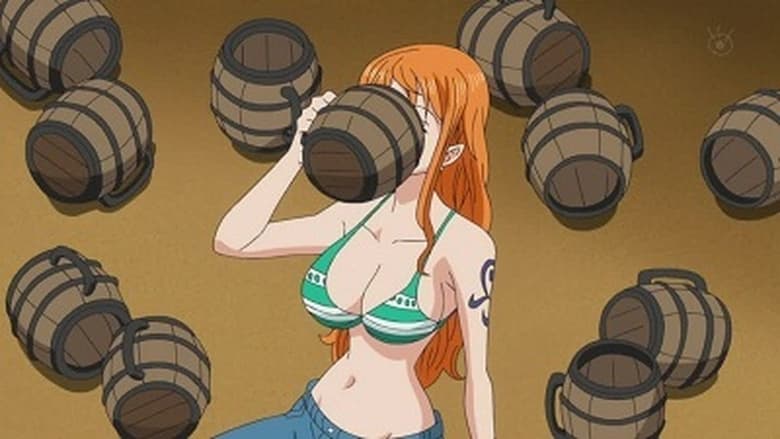 One Piece: Season 14 – Episode 569